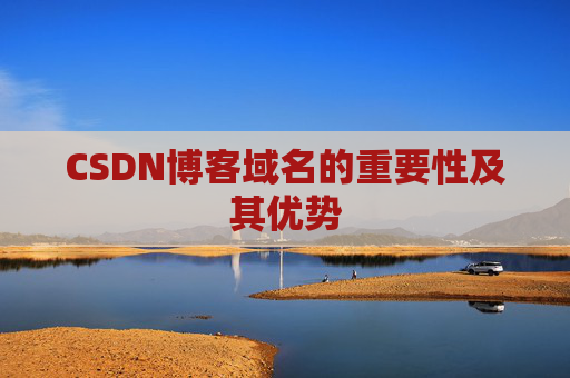 CSDN博客域名的重要性及其优势